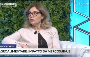 featured 3511087 364x230