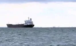 featured 3517551 265x160