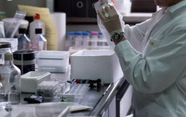 featured 3518072 364x230