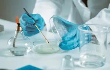 featured 3518623 364x230