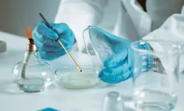 featured 3518625 265x160