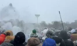 featured 3535839 265x160