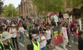 featured 3535853 265x160