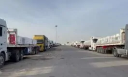 featured 3535878 265x160