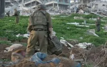 featured 3535926 364x230