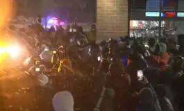 featured 3535962 265x160