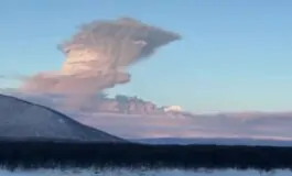 featured 3536140 265x160