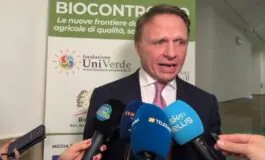 featured 3536208 265x160