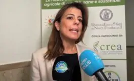 featured 3536214 265x160