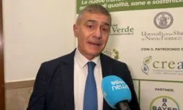 featured 3536226 265x160