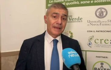 featured 3536226 364x230