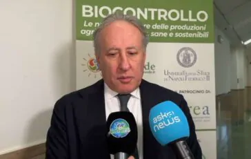 featured 3536231 364x230