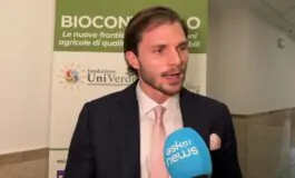 featured 3536243 265x160