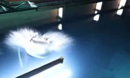 featured 3536268 265x160