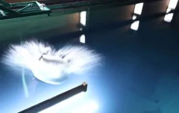 featured 3536268 364x230