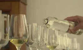 featured 3536366 265x160