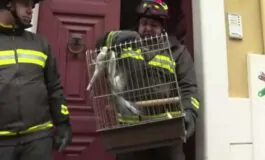 featured 3536375 265x160