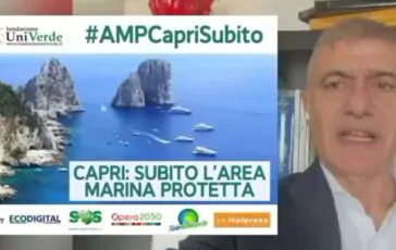 featured 3536437 364x230