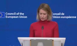 featured 3536453 265x160