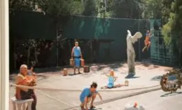 featured 3536455 265x160