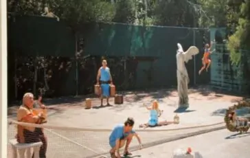 featured 3536455 364x230