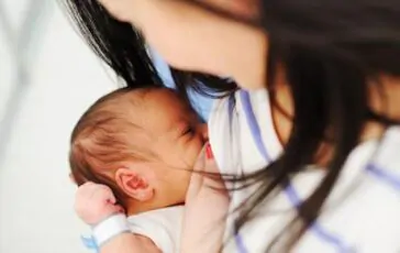 featured 3537114 364x230