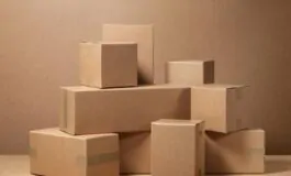 featured 3537229 265x160