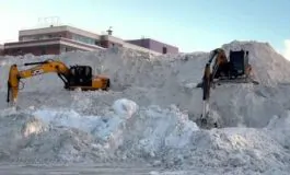 featured 3539452 265x160