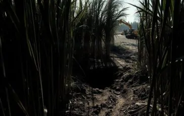 femminicidio arrestato claudio carlomagno per lomicidio di federica torzullo 1768913467 364x230