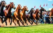 i top consigli per vincere nelle scommesse sulle corse di marlborough 1768832536