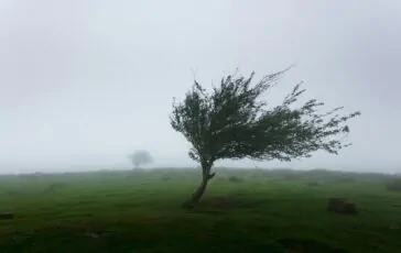 meteo weekend maltempo