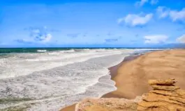 Attacchi squali Australia