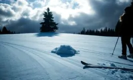 incidente di sci a courmayeur un ragazzo di 21 anni coinvolto in una drammatica caduta 1769039746 265x160