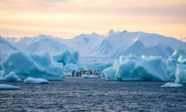 la groenlandia di trump implicazioni per leuropa e la nato 1769055769 265x160