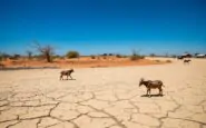leffetto del cambiamento climatico in africa un viaggio dal kenya al mozambico 1769593210