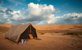 lesodo dei beduini in cisgiordania le conseguenze della violenza dei coloni 1769061606 265x160