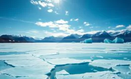 qual e il significato della richiesta di trump sulla groenlandia per la danimarca 1769074871 265x160