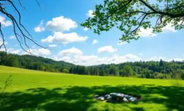 scoprire i benefici della mindfulness per una vita piu serena 1768280669 265x160