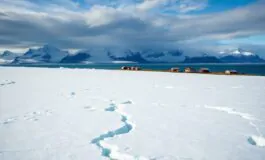 tensioni tra stati uniti e danimarca il conflitto sulla groenlandia 1767931251 265x160