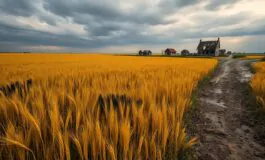 territori catturati dalla russia in ucraina nel 2026 1767403871 265x160