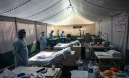 virus nipah analisi completa della situazione attuale in india 1769731914 265x160