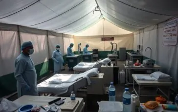 virus nipah analisi completa della situazione attuale in india 1769731914 364x230