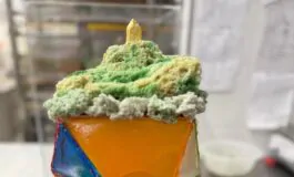 whatsapp image 2026 01 26 at 141206 265x160