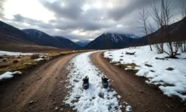 bambino costretto a percorrere 6 chilometri a piedi dopo essere stato fatto scendere dallautobus 1769943203 265x160