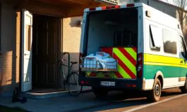 bimbo di 5 mesi trasferito al regina margherita dopo la caduta della madre a chieri 1771748527 265x160