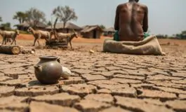 crisi alimentare in somalia 65 milioni minacciati dalla siccita e dai tagli agli aiuti 1772029027 265x160