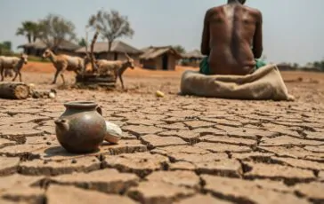 crisi alimentare in somalia 65 milioni minacciati dalla siccita e dai tagli agli aiuti 1772029027 364x230