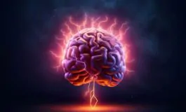 featured 3580961 265x160