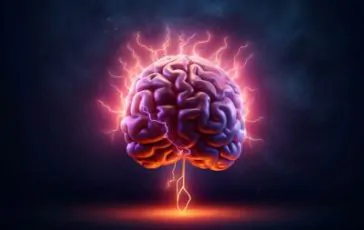 featured 3580967 364x230