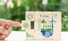 featured 3581071 265x160